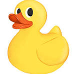 yellow duck